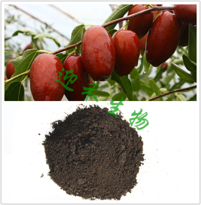 大红枣树专用肥