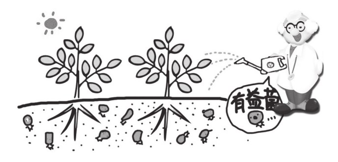 施用生物菌肥注意事项效果才好