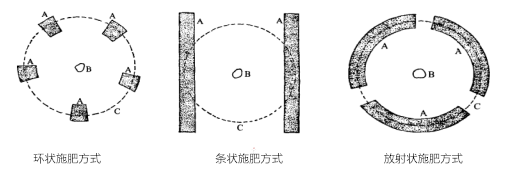 лʩ