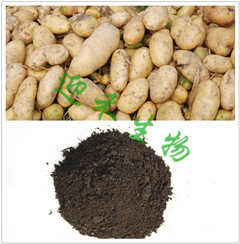 马铃薯土豆专用肥